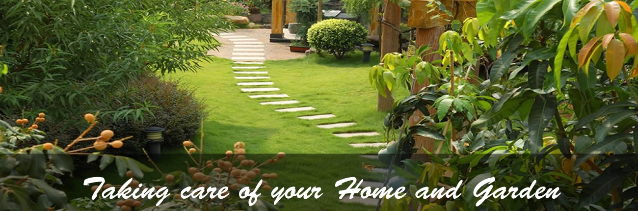 Taking care of your Home and Garden